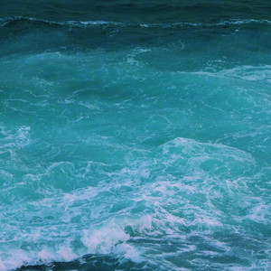 欧美人妻双飞一区二区视频
