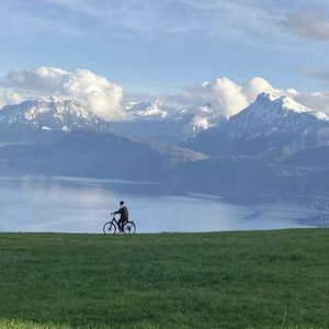 欧美人妻双飞一区二区视频
