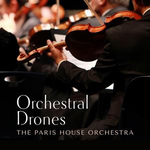 欧美人妻双飞一区二区视频
